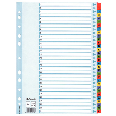 Przekładki kartonowe Mylar  A4/1-31 Esselte